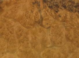 Walnut Burl veneer