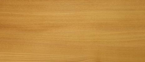 Elm european veneer