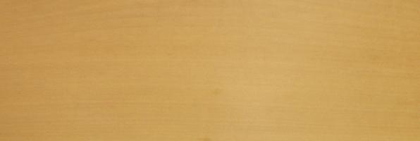 Beech veneer