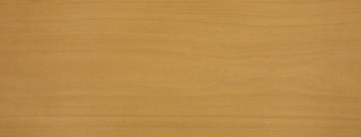 Beech veneer