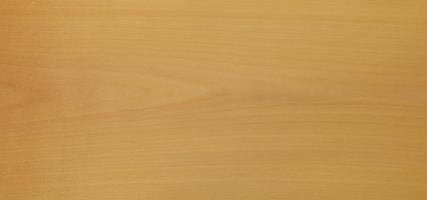 Beech veneer