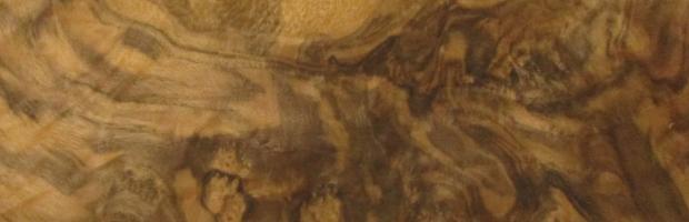 Walnut Burl veneer