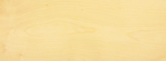 Sycomore (europ. Maple) veneer
