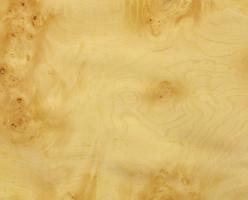 Sycomore burl veneer
