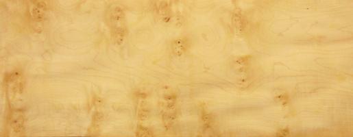 Sycomore Knots veneer