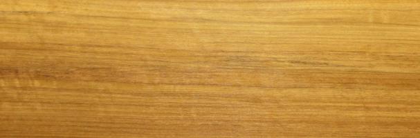 Mutenye veneer