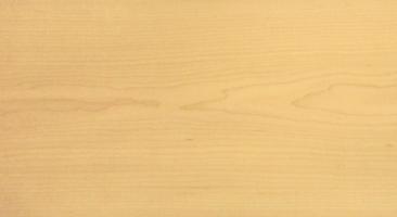Maple (Hard Maple) veneer