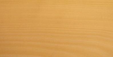 Beech veneer