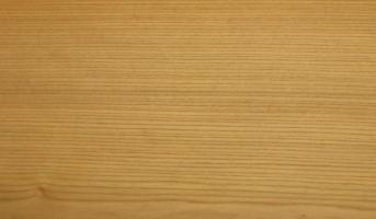 Elm (european) veneer