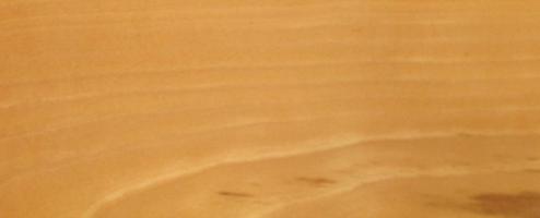 Beech veneer