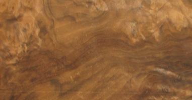Walnut Burl veneer