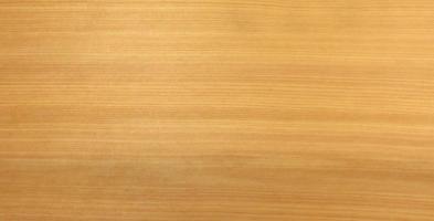 Larch veneer