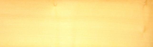 Sycomore (europ. Maple) veneer