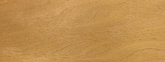 Walnut europ. Sapwood veneer