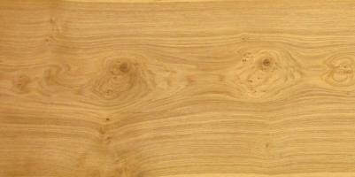 Oak knotty veneer
