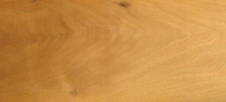 Walnut europ. Sapwood veneer