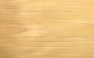 Poplar veneer