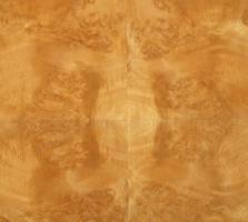 Sycomore burl veneer
