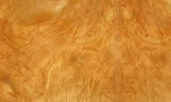 Sycomore burl veneer