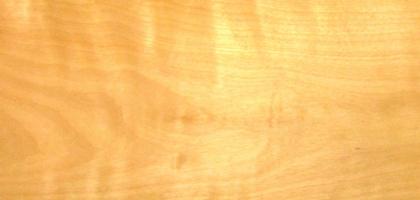 Birch veneer