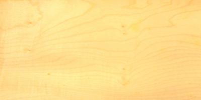 Sycomore (europ. Maple) veneer