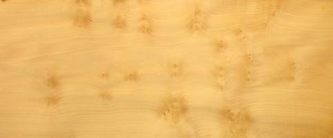 Sycomore burl veneer