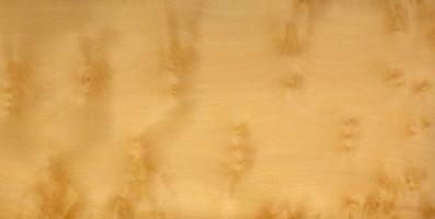 Sycomore burl veneer