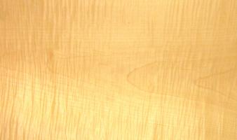 Sycomore figured veneer