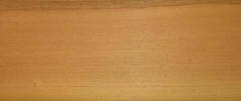 Walnut europ. Sapwood veneer packet