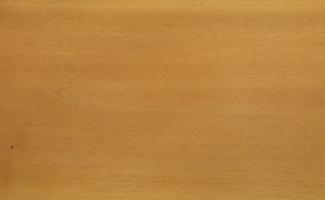 Walnut europ. Sapwood veneer