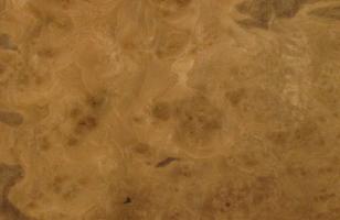 Walnut Burl veneer
