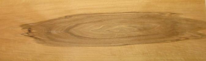 Walnut europ. veneer