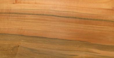 Tineo veneer