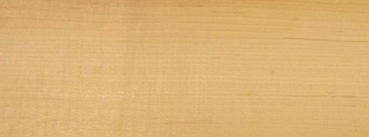 Maple (Hard Maple) veneer