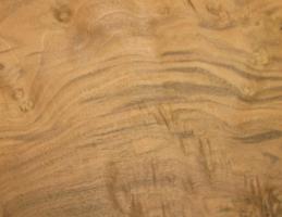Walnut Burl veneer packet