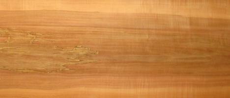 Apple veneer