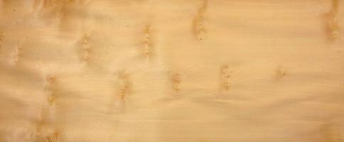 Sycomore burl (knots) veneer packet