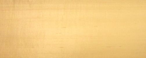 Maple (Hard Maple) veneer
