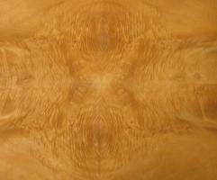 Sycomore burl veneer