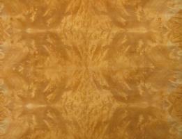 Sycomore burl veneer
