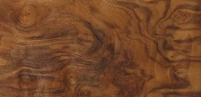 Walnut Burl veneer packet