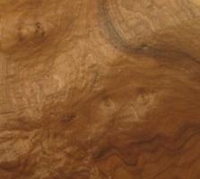 Walnut Burl veneer