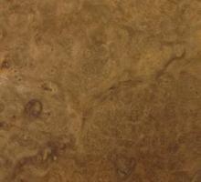 Walnut Burl veneer packet