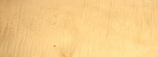 Sycomore figured veneer