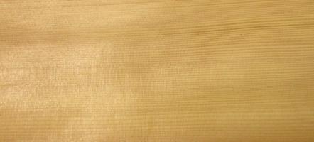 Fir veneer packet
