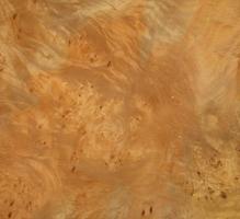 Sycomore burl veneer