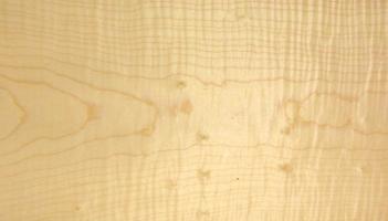 Sycomore figured veneer packet