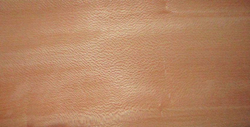 Plantane Furnier