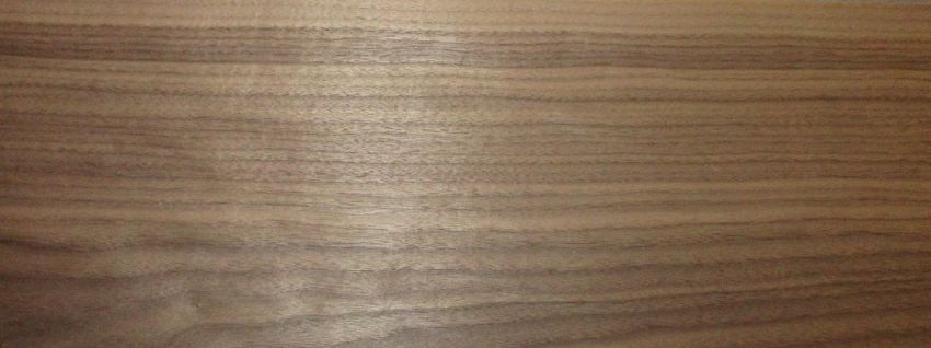 Walnut american (Black Walnut)