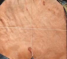 Madrona Burl
